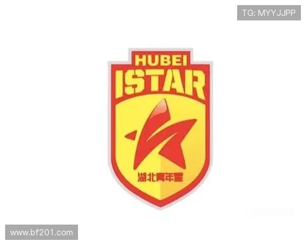 湖北青年星冬窗送9人 目标留洋再拓新路